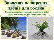 Значення поширення плодів для рослин Пристосування для освоєння рослинами нов...