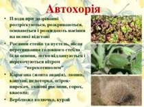 Автохорія Плоди при дозріванні розтріскуються, розкриваються, осипаються і ро...