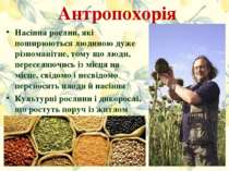 Антропохорія Насіння рослин, які поширюються людиною дуже різноманітне, тому ...