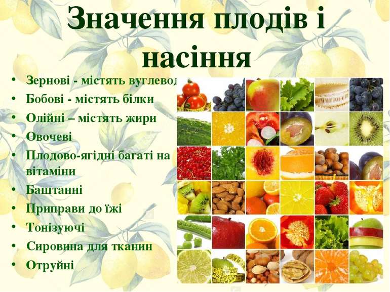 Значення плодів і насіння Зернові - містять вуглеводи Бобові - містять білки ...