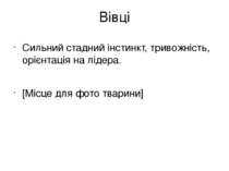 Вівці Сильний стадний інстинкт, тривожність, орієнтація на лідера. [Місце для...