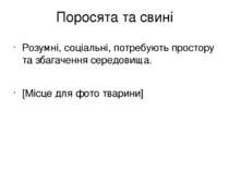 Поросята та свині Розумні, соціальні, потребують простору та збагачення серед...