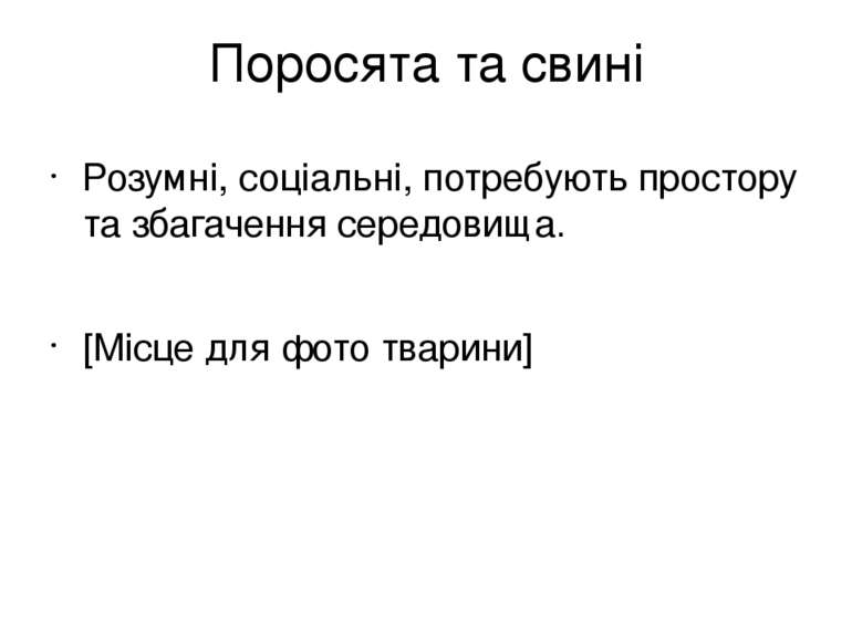 Поросята та свині Розумні, соціальні, потребують простору та збагачення серед...