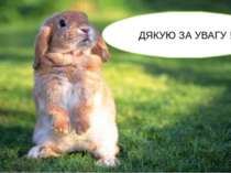 Дь аиплбїз піщлт єья апд яазда дазщ Використані джерела: https://dovidka.biz....