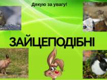 Дякую за увагу!