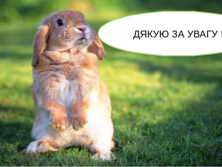 Дь аиплбїз піщлт єья апд яазда дазщ Використані джерела: https://dovidka.biz....