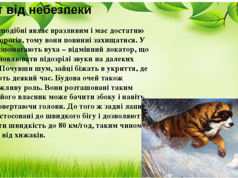 Захист від небезпеки Загін зайцеподібні являє вразливим і має достатню кількі...