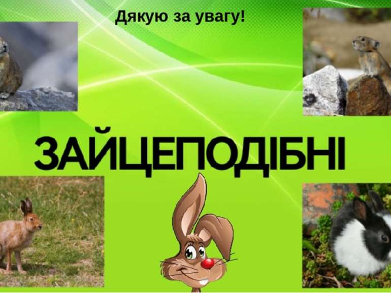 Дякую за увагу!