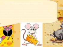 Факт 9. Чи правда, що миші люблять сир? Існує така думка, що миші дуже люблят...