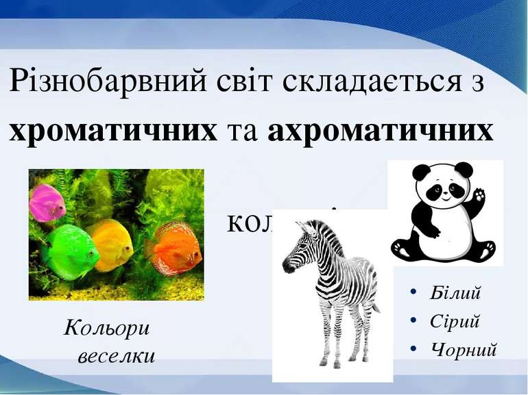 Різнобарвний світ складається з хроматичних та ахроматичних кольорів Кольори ...