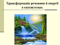 Трансформація речовини й енергії в екосистемах