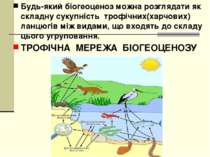 Будь-який біогеоценоз можна розглядати як складну сукупність трофічних(харчов...