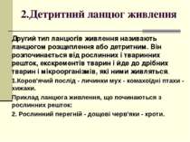 2.Детритний ланцюг живлення Другий тип ланцюгів живлення називають ланцюгом р...