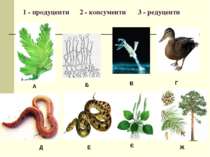 1 - продуценти 2 - консументи 3 - редуценти А Б В Г Д Е Є Ж