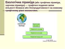 Екологі чна пірамі да (або трофічна піраміда, харчова піраміда) — графічне по...