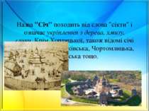 Назва "Січ" походить від слова "сікти" і означає укріплення з дерева, хмизу, ...