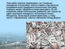 Лов риби тралом призводить не тільки до знищення її популяції, але й ставить ...