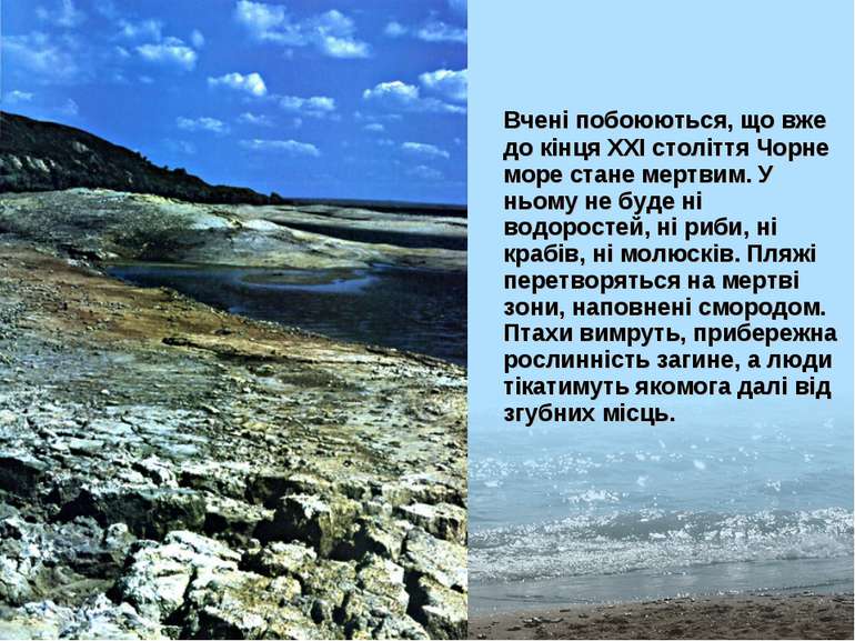 Вчені побоюються, що вже до кінця ХХІ століття Чорне море стане мертвим. У нь...