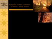 Природні пожежі бувають лісовими і торф’яними Причини виникнення: 1) природні...