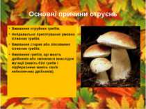 Основні причини отруєнь Вживання отруйних грибів. Неправильне приготування ум...