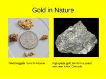 Gold in Nature Gold Nuggets found in Arizona High-grade gold ore from a quart...