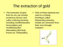 The extraction of gold The extraction of gold from its ore can involve numero...