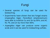 Fungi Several species of fungi can be used for bioleaching. Experiments have ...