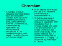 Chromium A number of Cr(VI)-reducing microbial strains have been recently iso...