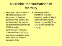 Microbial transformations of mercury Microbial transformations of mercury hav...