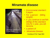 Minamata disease Environmetal standard :0,4ppm For a person (50Kg weight): If...