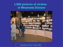 1,500 pictures of victims of Minamata Disease Courtesy of Prof. Yugo ONO