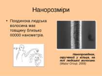 Нанорозміри Поодинока людська волосина має товщину близько 80000 нанометрів. ...