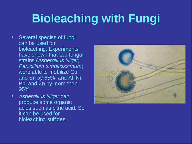 Bioleaching with Fungi Several species of fungi can be used for bioleaching. ...