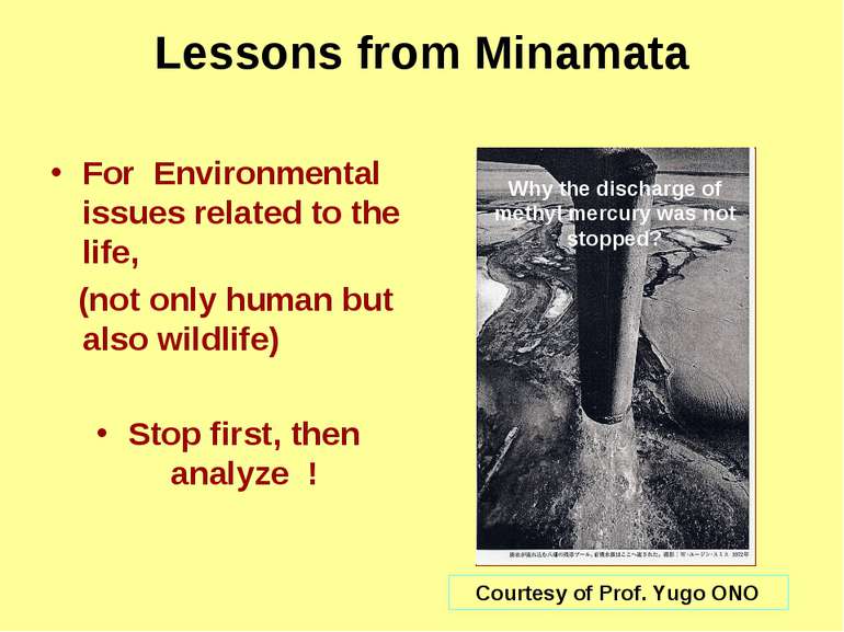 Lessons from Minamata For Environmental issues related to the life, (not only...