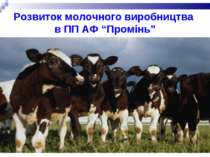 Розвиток молочного виробництва в ПП АФ “Промінь”