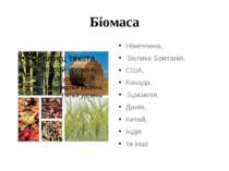 Біомаса Німеччина, Велика Британія, США, Канада, Бразилія, Данія, Китай, Інді...