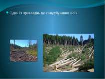 Один із прикладів- це є вирубування лісів Порушення біологічної рівноваги і б...