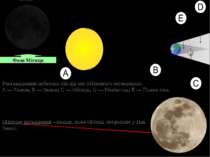 Фази Місяця Розташування небесних тіл під час Місячного затемнення: A — Сонце...