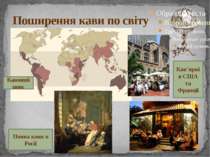 Поширення кави по світу Кавовий пояс Поява кави в Росії Кав’ярні в США та Фра...