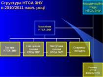 Структура НТСА ЗНУ в 2010/2011 навч. році