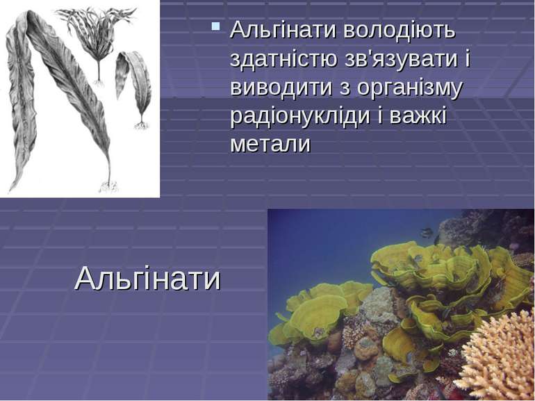 Альгінати Альгінати володіють здатністю зв'язувати і виводити з організму рад...