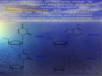 Назви нуклеозидів утворюють аналогічно назвам глікозидів. Так, нуклеозид, яки...