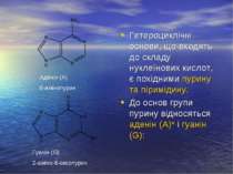 Гетероциклічні основи, що входять до складу нуклеїнових кислот, є похідними п...