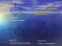 Основами групи піримідану , урацил (U), тимін (Т) і цитозин (С): урацил (U) 2...