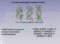 Альтернативні форми подвійної спіралі ДНК може існувати в кількох можливих ко...