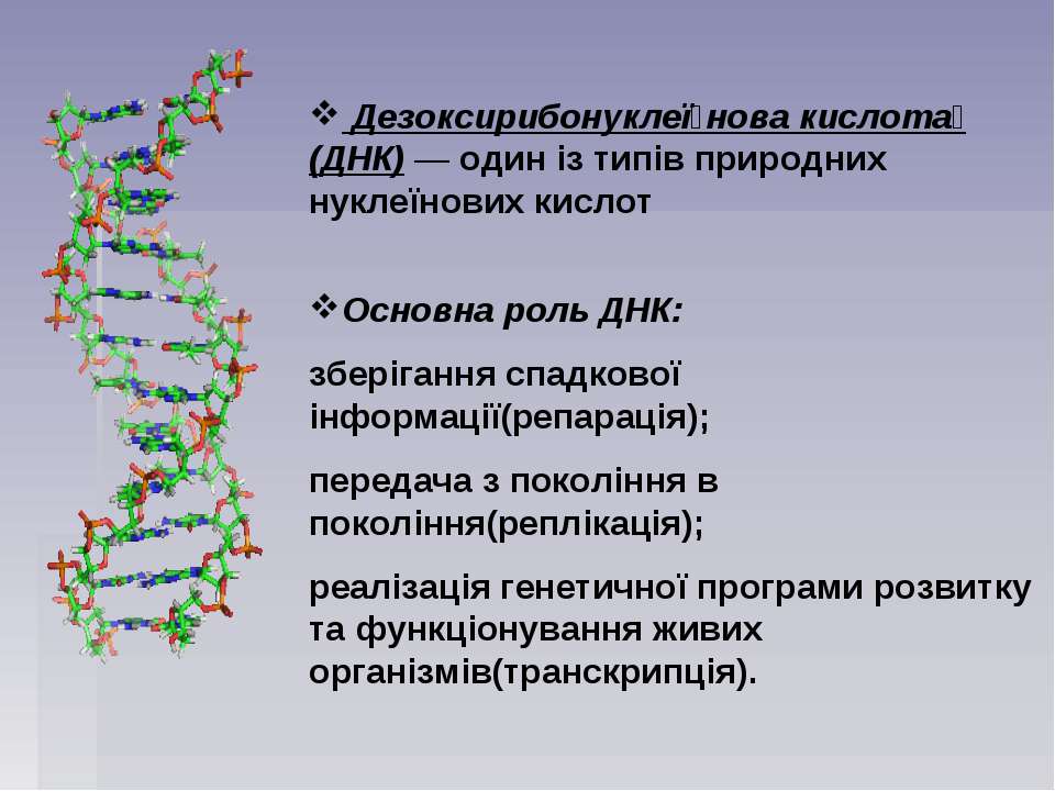 5 3 концы рнк и днк. Роль ДНК В природе. ДНК И РНК расшифровка. Энцефалит РНК или ДНК. ДНК +РНК 2024 Мельниченко Кемерово.