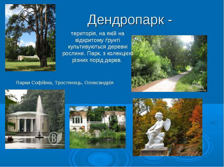 Дендропарк - Парки Софіївка, Тростянець, Олександрія територія, на якій на ві...