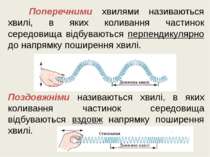 Поперечними хвилями називаються хвилі, в яких коливання частинок середовища в...