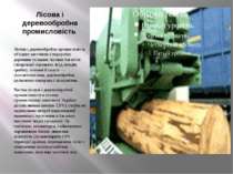 Лісова і деревообробна промисловість Лісова і деревообробна промисловість об'...