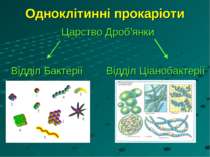 Одноклітинні прокаріоти Царство Дроб’янки Відділ Бактерії Відділ Ціанобактерії